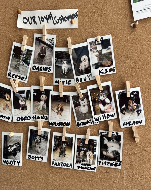 Les bienfaits de l'appréciation de la pluie : Comment surmonter votre peur des averses