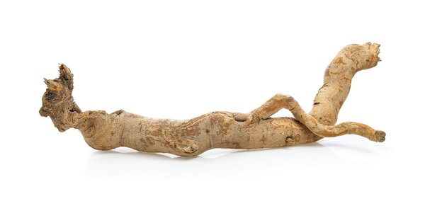 Tongkat Ali : quelle est son origine et ses composants actifs ?